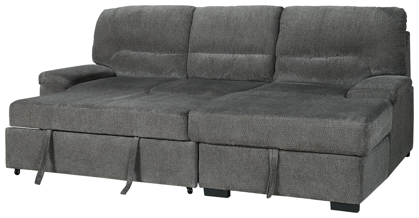 Yantis 2-Piece Sleeper Sectional with Storage