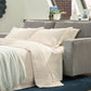 Altari Queen Sofa Sleeper