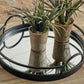Adria Tray