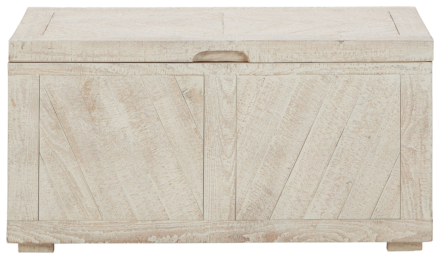 Ryker Storage Trunk