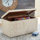 Ryker Storage Trunk