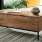 Braddick Storage Trunk