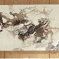 Annora Wall Art