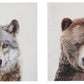 Albert Wall Art (Set of 2)