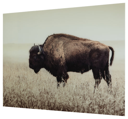 Brutus Wall Art