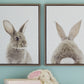 Wittley Wall Art