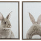 Wittley Wall Art