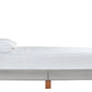 Tranhaus Queen Upholstered Bed