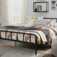 Trentlore Full Platform Bed