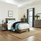 Shamryn Twin Panel Bed
