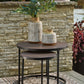 Ayla Outdoor Nesting End Tables (Set of 2)