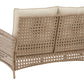 Braylee Outdoor Loveseat with Table (Set of 2)