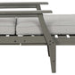 Visola Chaise Lounge with Cushion