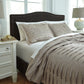 Voltos 3-Piece King Duvet Cover Set