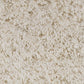 Alonso 5' x 7' Rug
