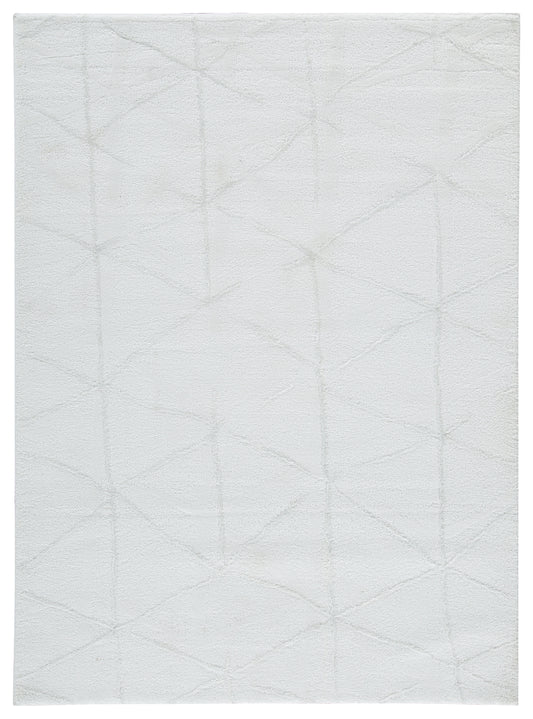 Scarrit 5'3" x 7'3" Rug