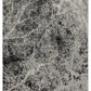 Cailey 8' x 10' Rug
