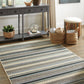 Troost 5' x 7' Rug